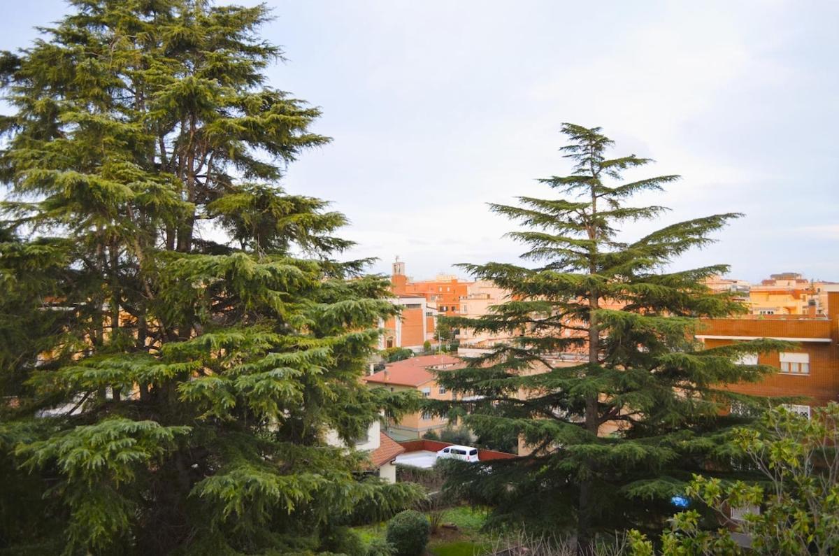 Appartamento Attico Aurelia Antica *